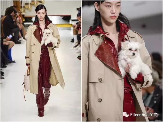 刘雯王俊凯照片 (王俊凯和刘雯)