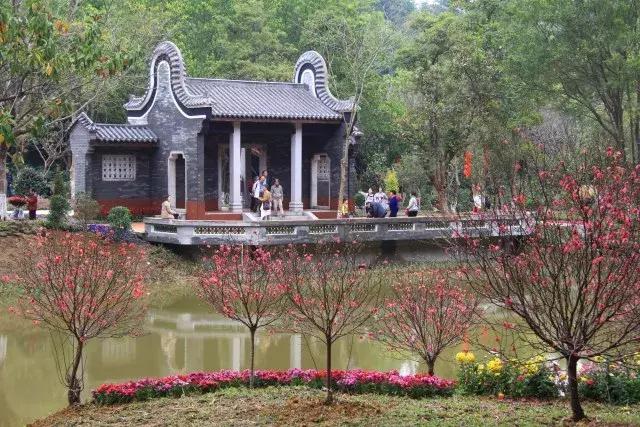 还没看的景点,大夫山最美景色