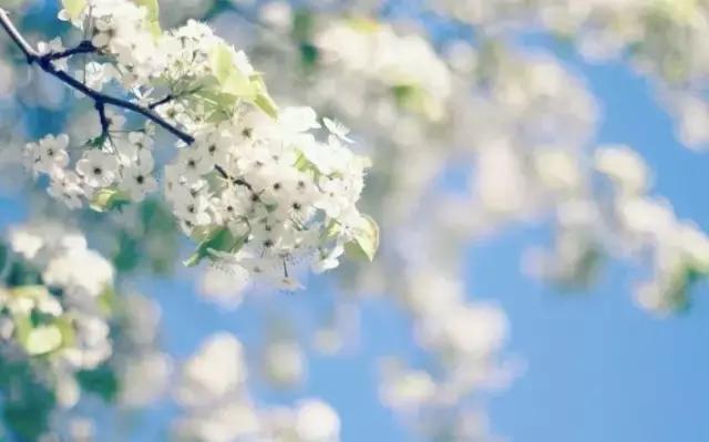 古代有趣的诗,脑洞大开的诗