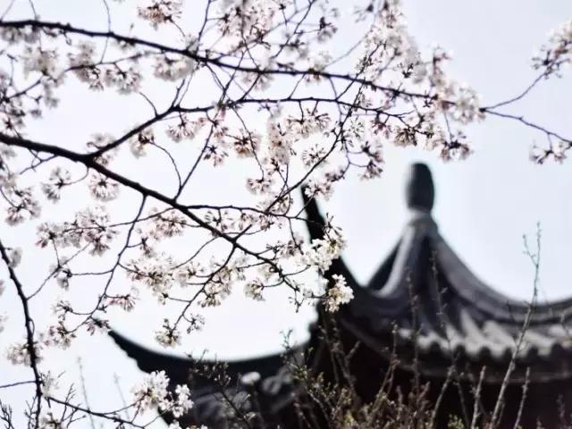 古代有趣的诗,脑洞大开的诗