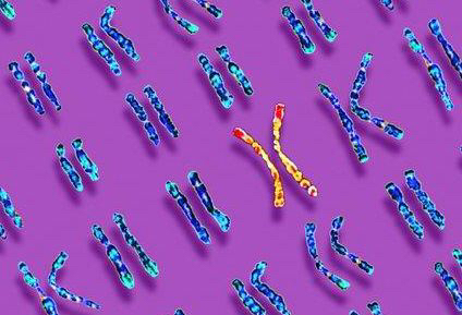 稽留流产风险大吗,稽留流产好害怕疼痛