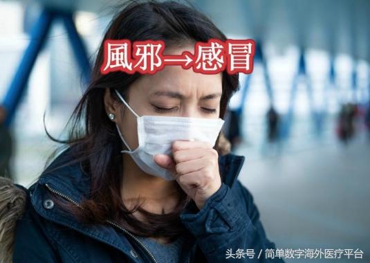 原来日本文字是这样来的,日本各个地方的汉字