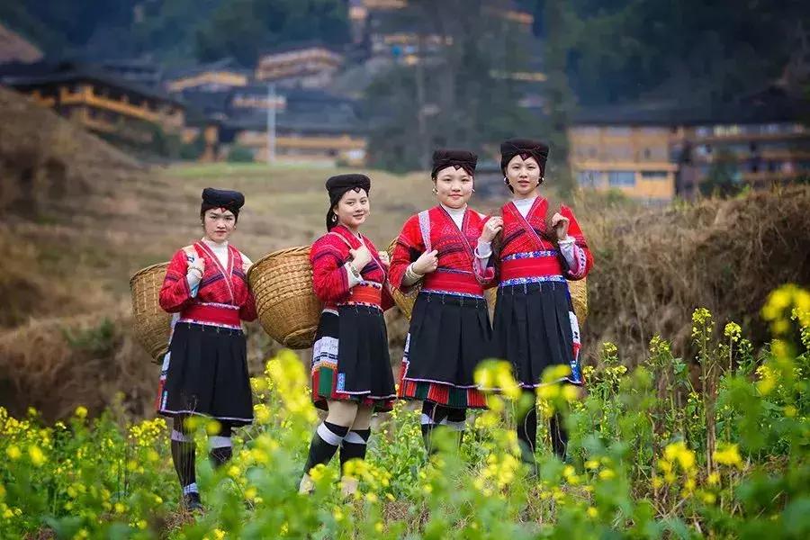 龙脊红瑶寨门票,桂林龙脊梯田门票优惠政策最新