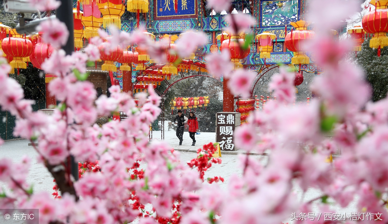 与春节有关的作文,跟春节有关的作文300字