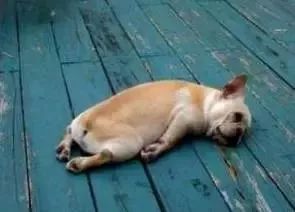 广州人会说不会写的31个粤语字,有哪些会说不会写的粤语字