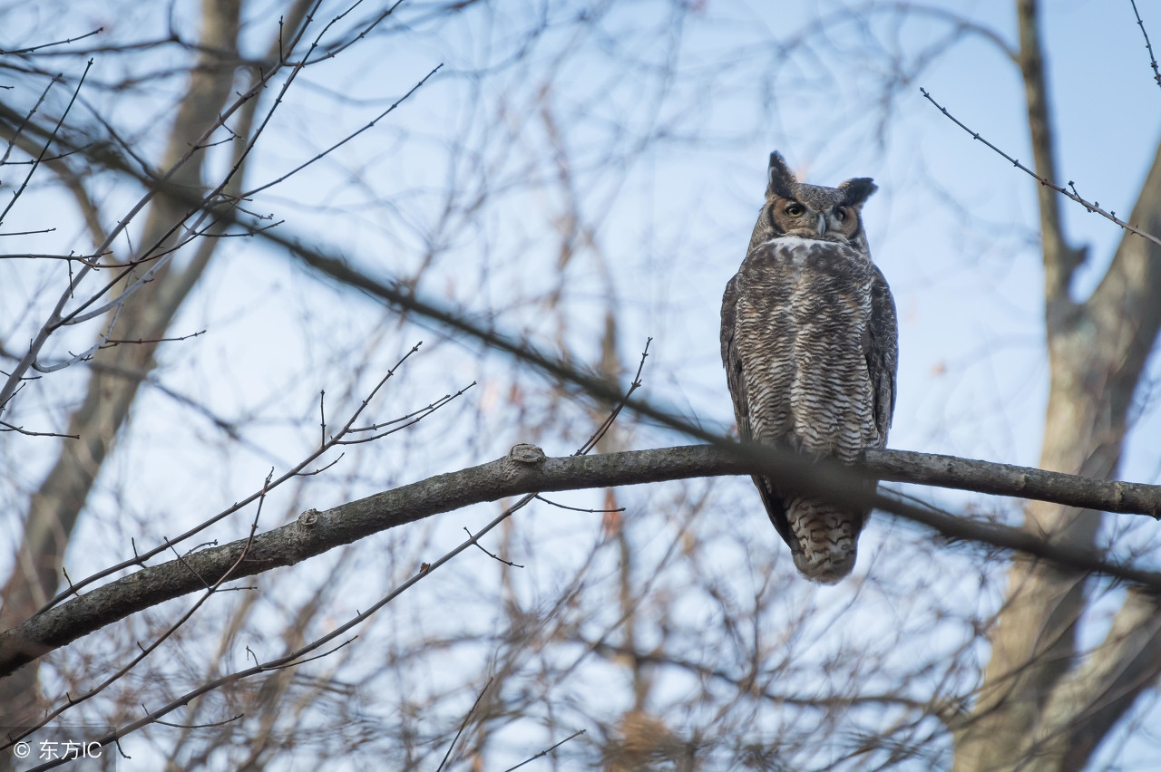 论语精读100个问题,论语高级解读