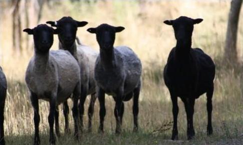 告诉你围巾怎样系得优雅有气质