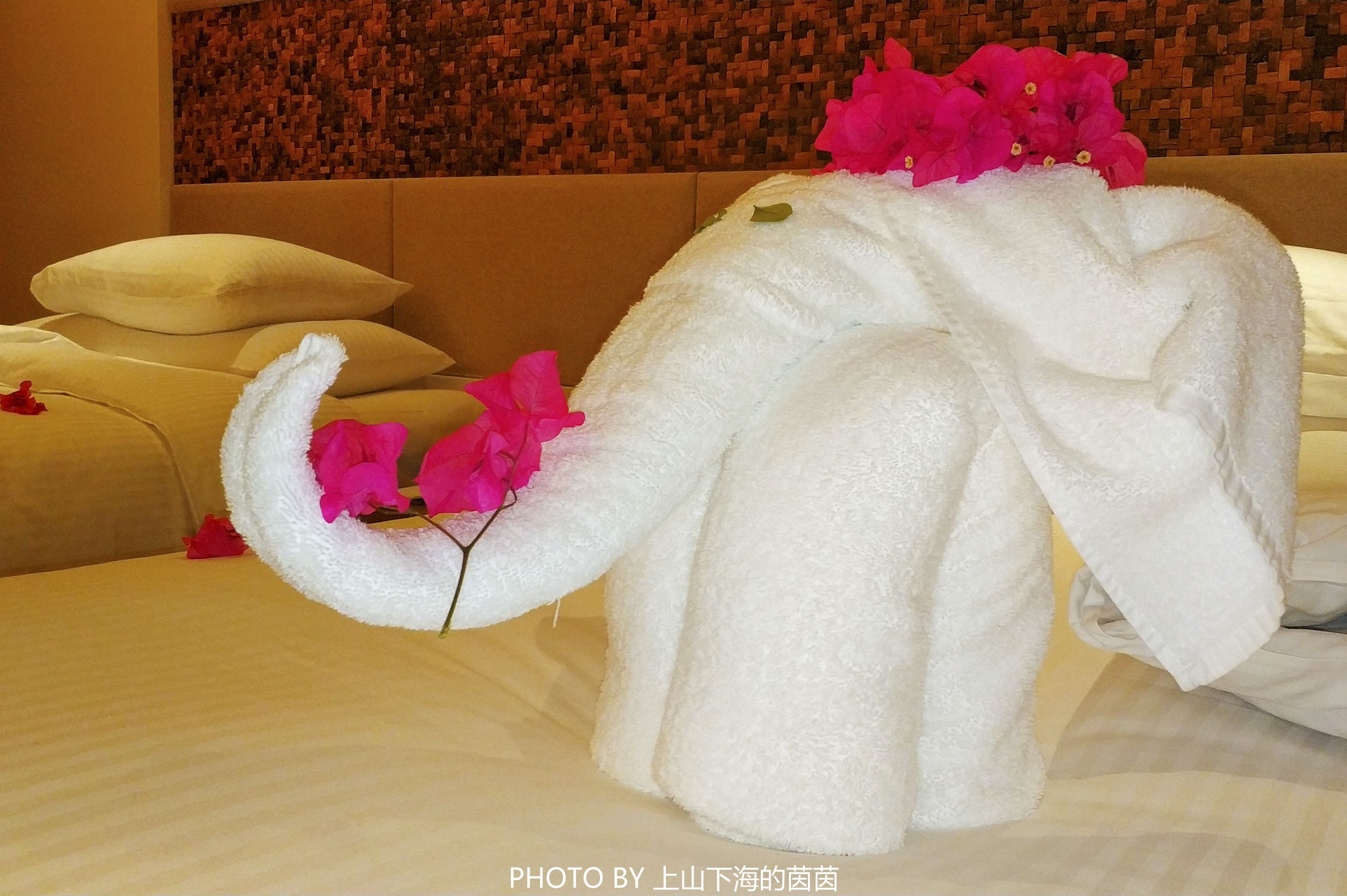 三亚亚龙湾华宇酒店房型,三亚亚龙湾华宇度假酒店至尊房