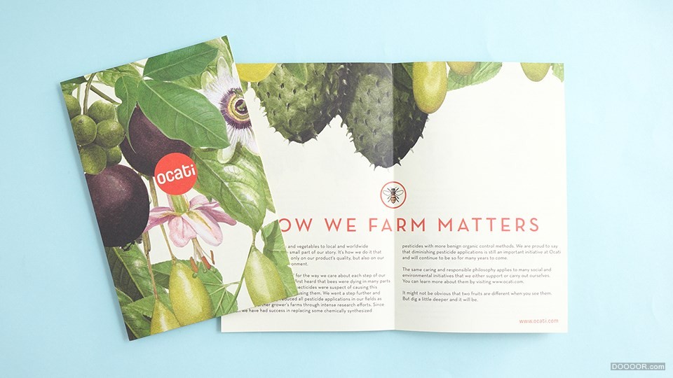 十大顶级高端水果包装,水果干品牌包装设计