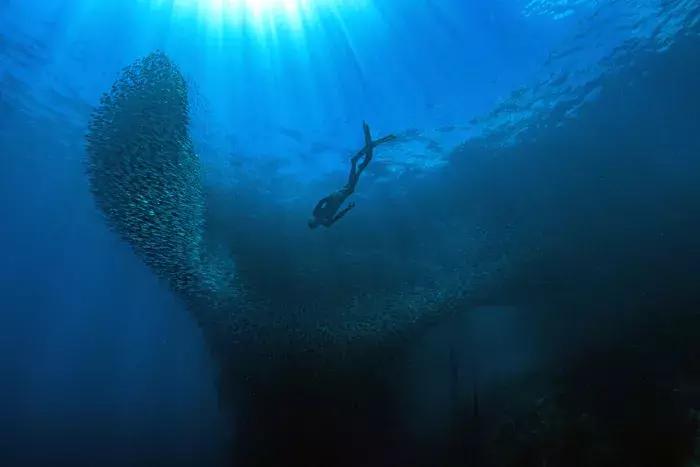 2018年全球华人摄影十杰,中国第18届国际摄影展入围作品