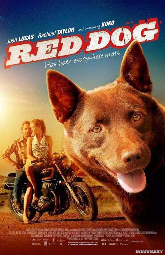 关于狗的电影你喜欢哪一部呢,十部关于狗的电影