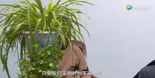 张小雷钱宝网案件怎样处理的,钱宝网张小雷退款信息公布结果