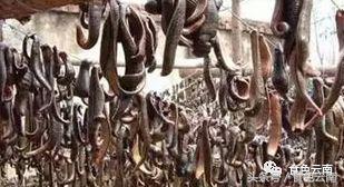 云南三只蚂蚁一道菜,云南三个蚊子一盘菜