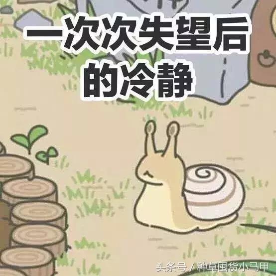 十大没必要买的东西,不能买的十大物件