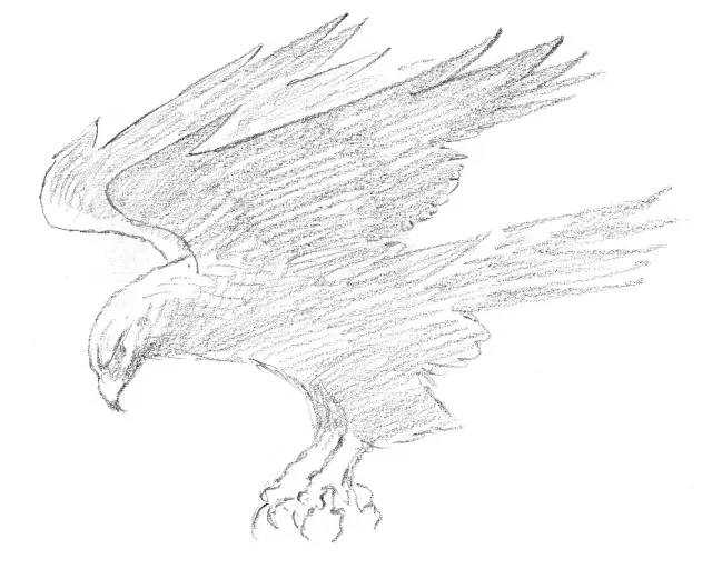 国画素描教程零基础入门,零基础学素描初学者入门教学