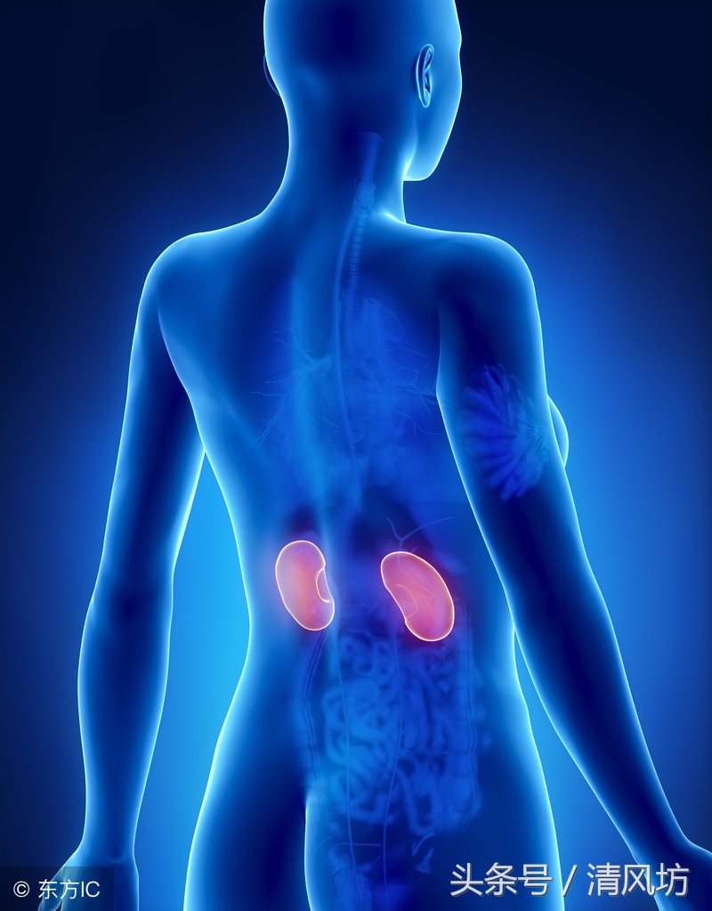 人体衰老是从什么时候开始的,人体衰老的十个步骤详细图解