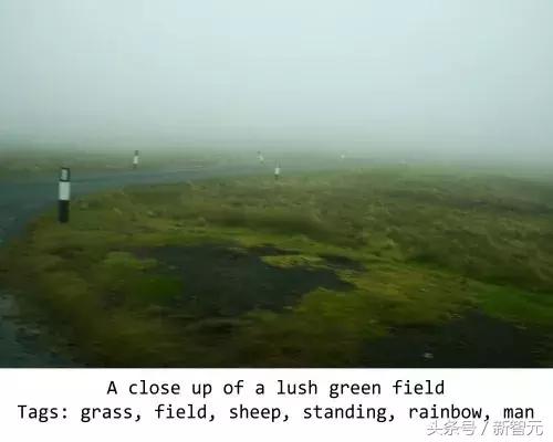 绁炵粡缃戠粶浼氬嚭閿欏悧,绁炵粡浜轰細姊﹀埌鐢靛瓙缇婂悧