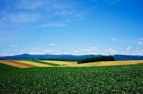 日本留学生打工需要注意什么,日本留学生打工的建议