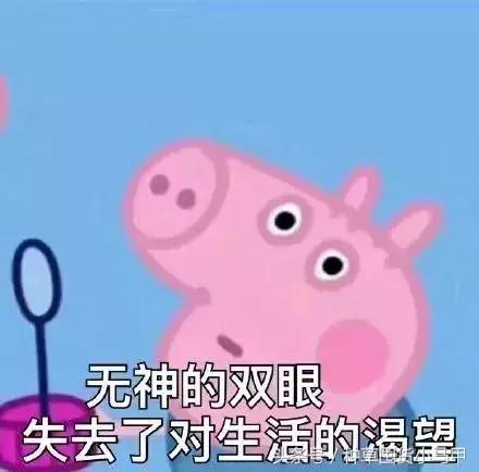 十大没必要买的东西,不能买的十大物件