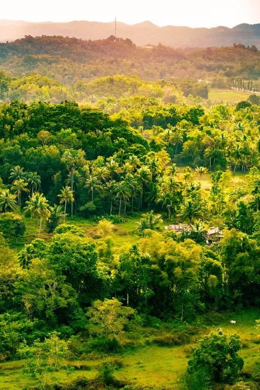 海岛签证全攻略,海岛签证最新攻略
