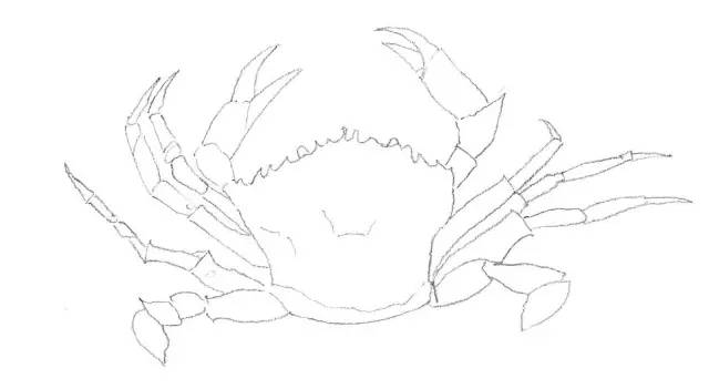 素描入门零基础教程动漫人物,素描入门零基础教程排线握笔