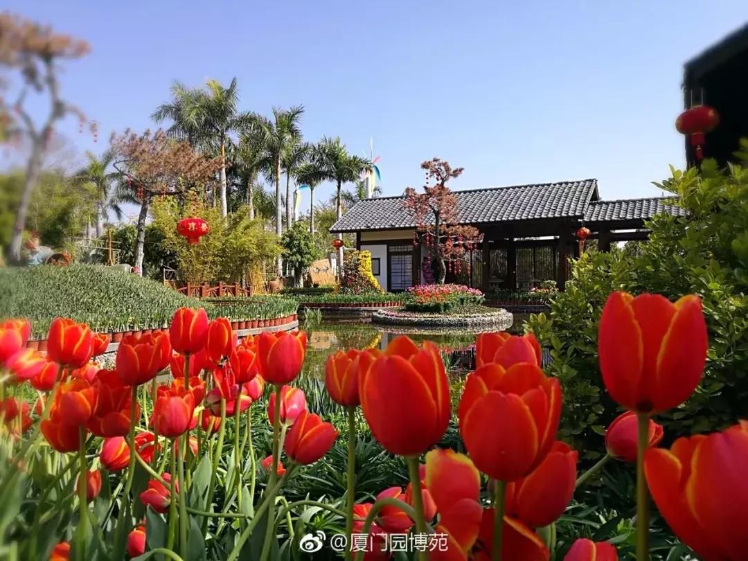 厦门大降温最新消息,厦门升温时间表