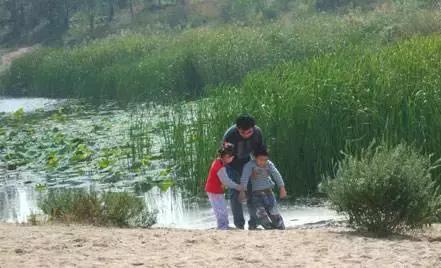 北京各区16处免费森林公园,北京最新40个公园