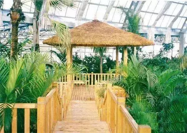 2018，在等一个人，陪我去天津...