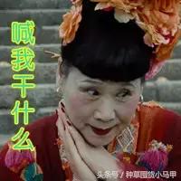 15块一只香奈儿,淘宝上买的香奈儿哪款最好