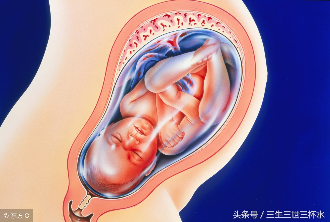 生男孩女孩孕妈直觉准吗,如何判定孕妇生的是儿子