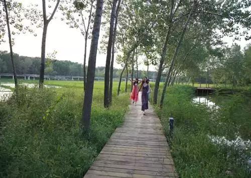 北京各区16处免费森林公园,森林公园北京有几个