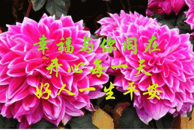 11月4,有群的都看看,太美了,这一辈子见一次值了!