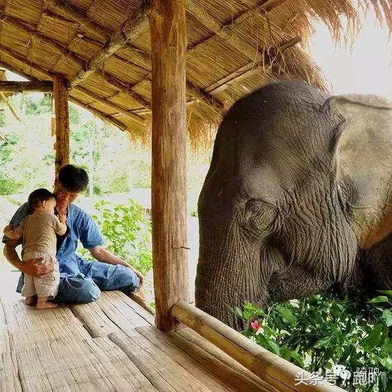 这10大东南亚“免签”仙境，月薪5K轻松走起，光看图已醉！