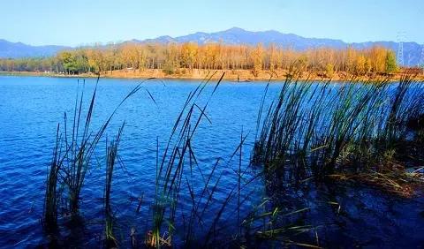 北京各区16处免费森林公园,森林公园北京有几个