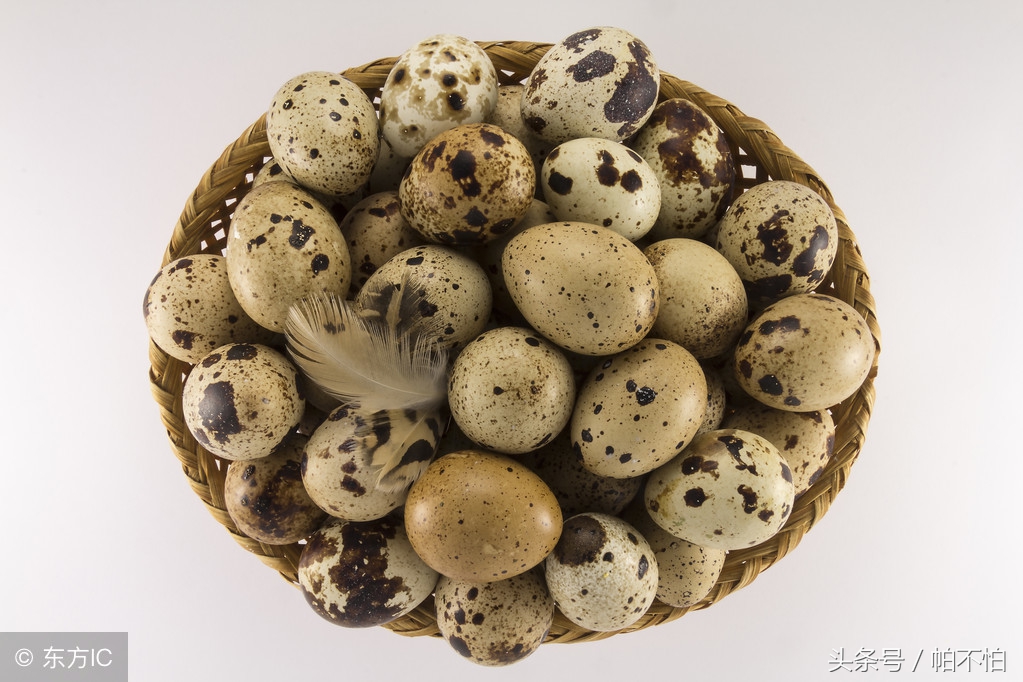 做对这3点专注力训练效果好10倍,做好这三点助你轻松提高受孕几率