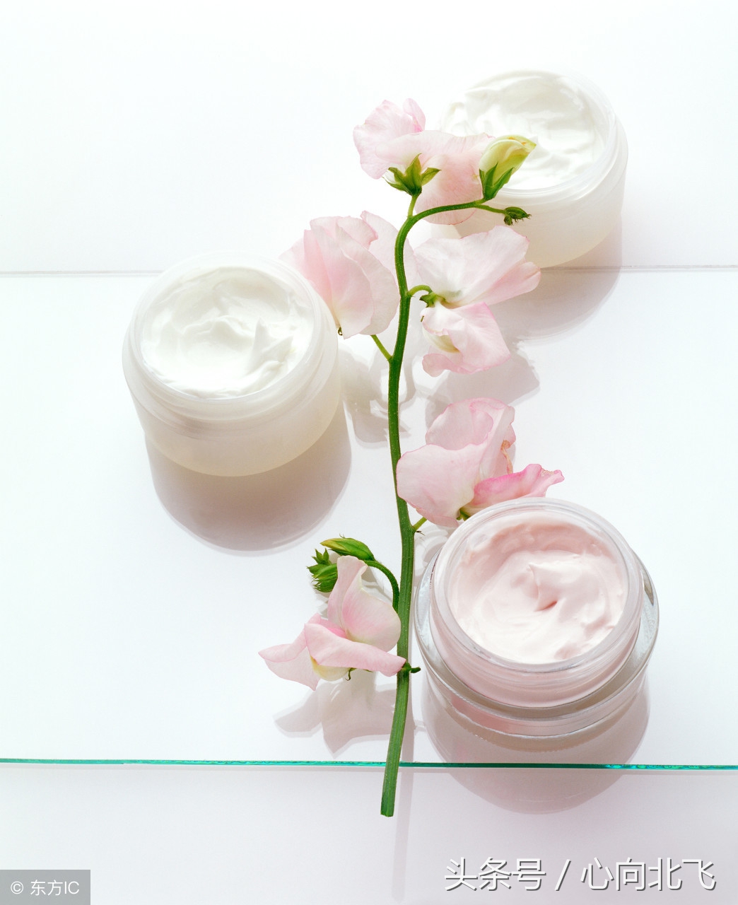 韩国免税店扫货怎么赚钱,冬季免税店购物攻略