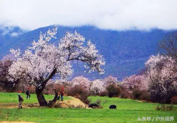 中国3月适合自驾的地方,自驾藏南旅游攻略