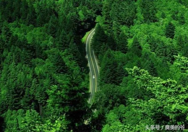 我们的家美在哪,我们的家在中国