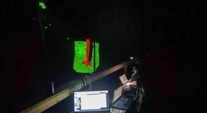 加拿大奇幻森林,加拿大魔法森林风景