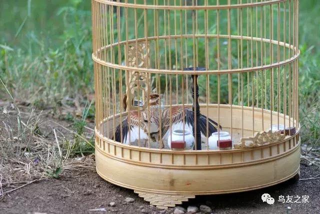 爆文故事视频,爆文完整视频