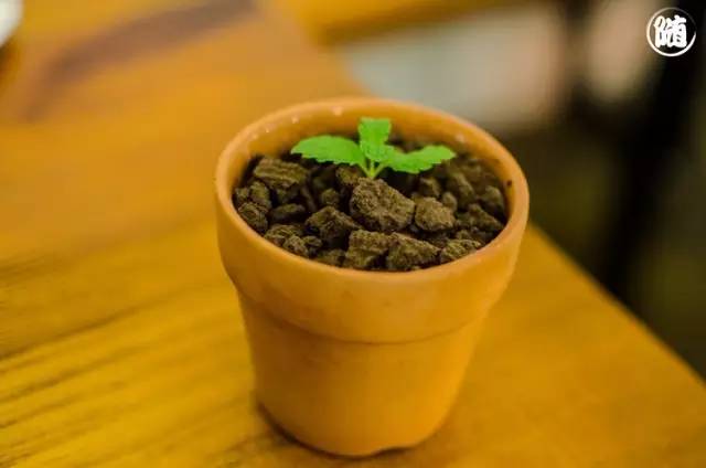 约会餐厅走心推荐,适合约会告白的餐厅