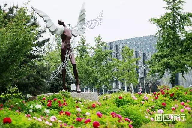 折扣活动有什么套路 (限时折扣优惠活动怎么做)