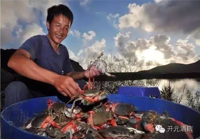 林芝旅游业,林芝市旅游业