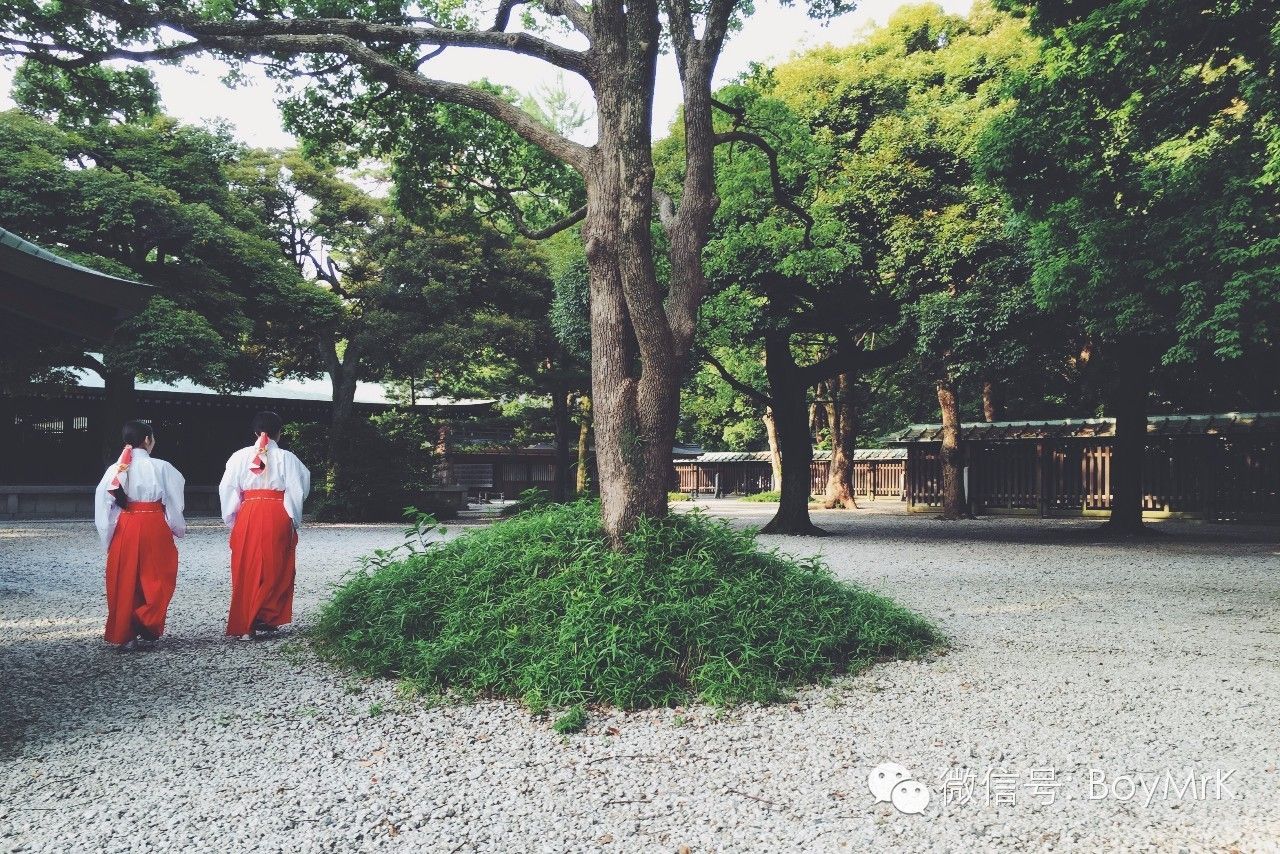 私享丨在没有爱情故事的东京，度过悠长假期,内含福利