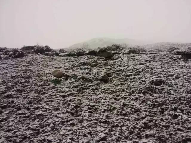 八天川藏最好纪录,川藏挑战8天距离