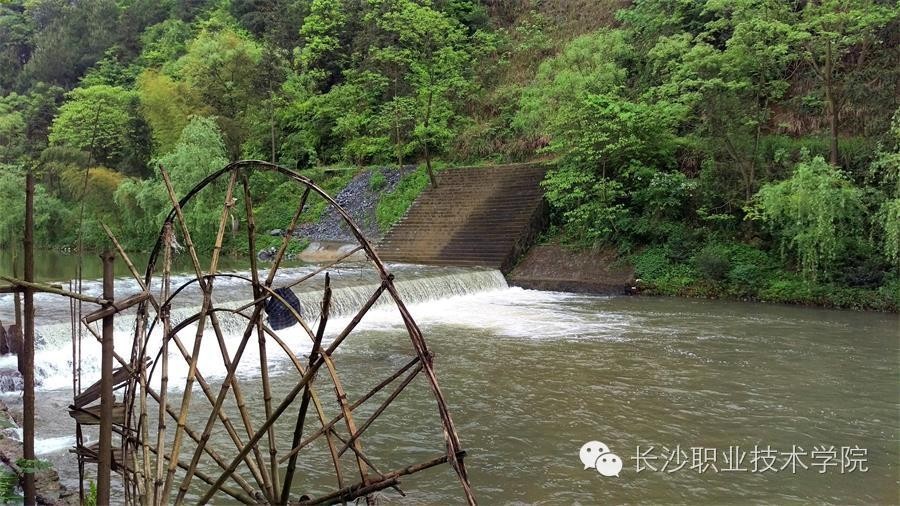 来稿我的大学生活比你多了道风景