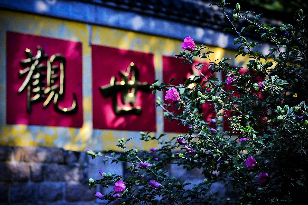 夏至未至里的美景,夏至未至不同感受