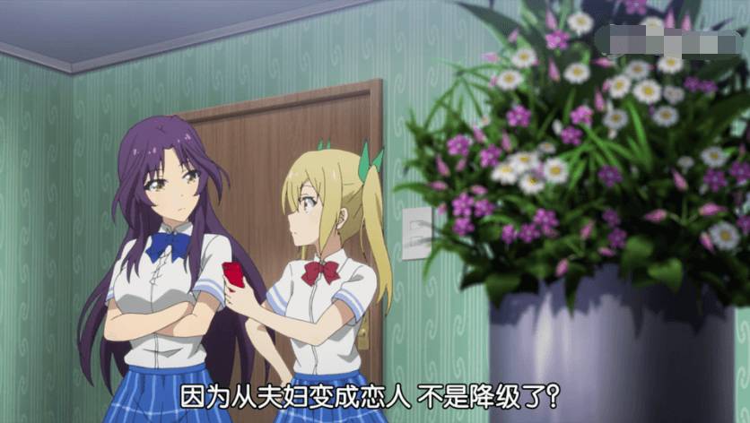 布丁动漫一周年合集,布丁动画的基本资料