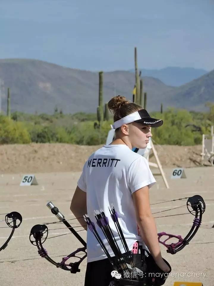 pse杞欢,psp浠嬬粛