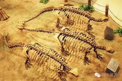 六一儿童节去哪里带孩子,六一去哪里带小朋友玩